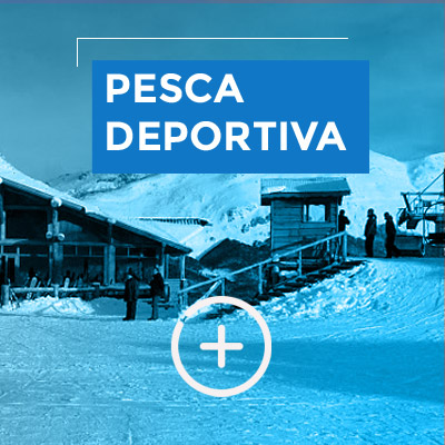 Deportes de Invierno en Ushuaia